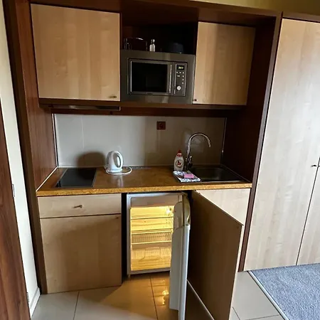 One-room With A View Of The High Tatras B 405 * Wielka Łomnica