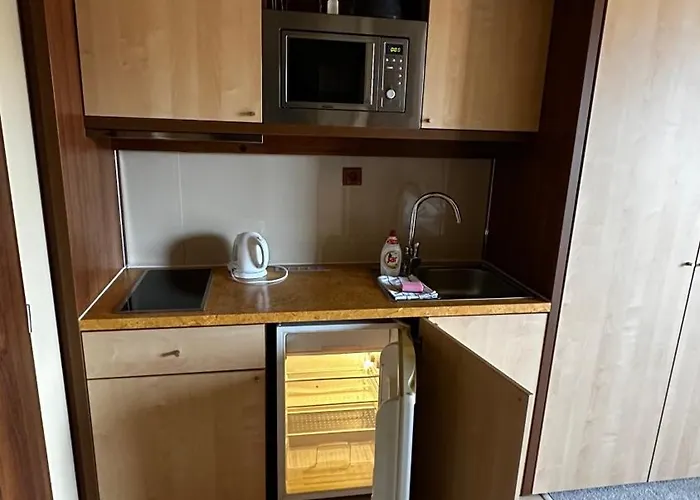 One-room With A View Of The High Tatras B 405 * Vel'ka Lomnica